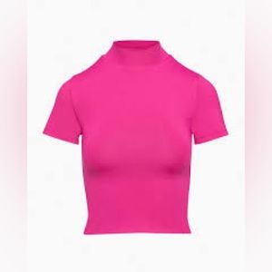 Aritzia Babaton Contour Mockneck Tee